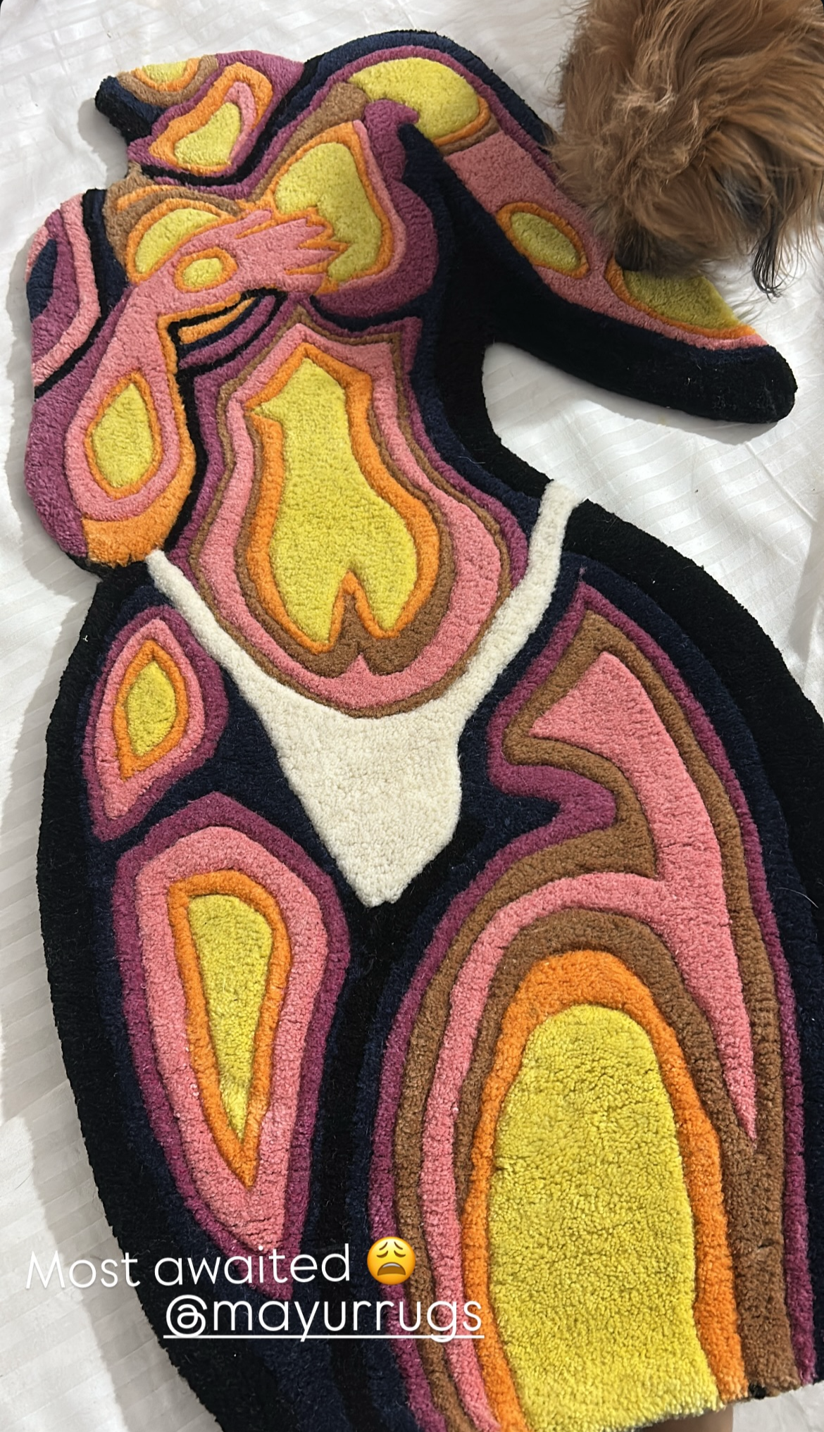 Colorful abstract rug with geometric patterns on a white surface